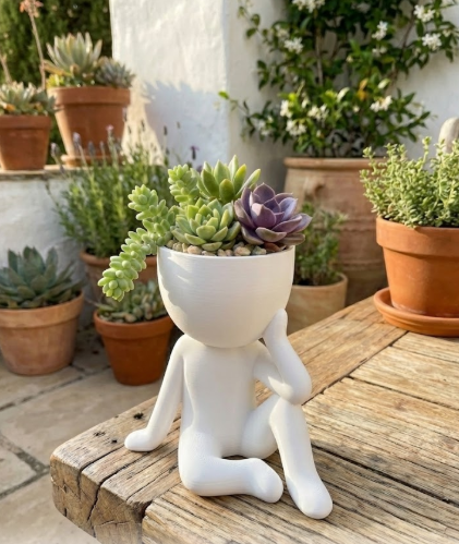 Vaso suculentas - O pensador-