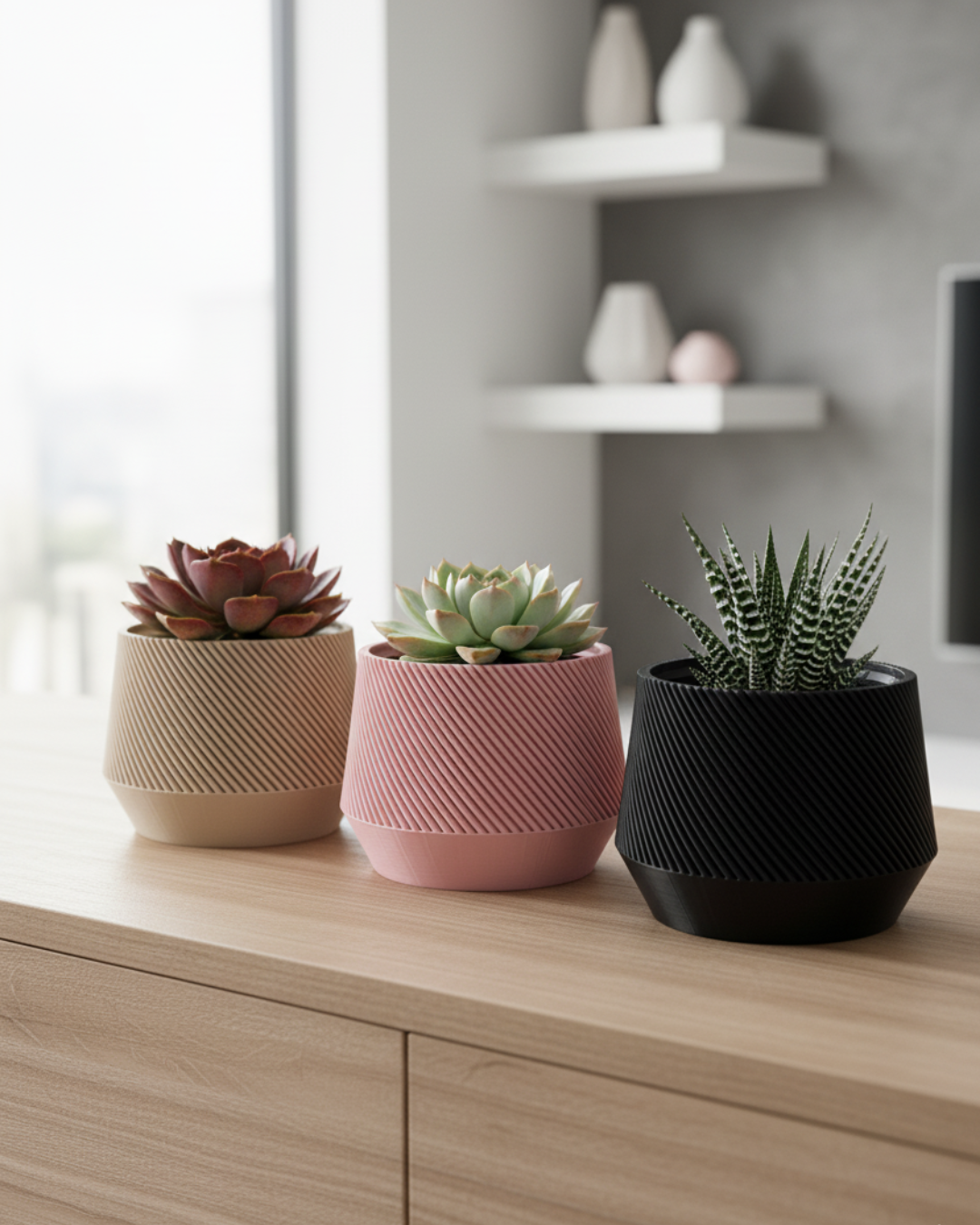 Cachepô para suculentas